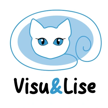 Visuelise